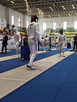 Fencing