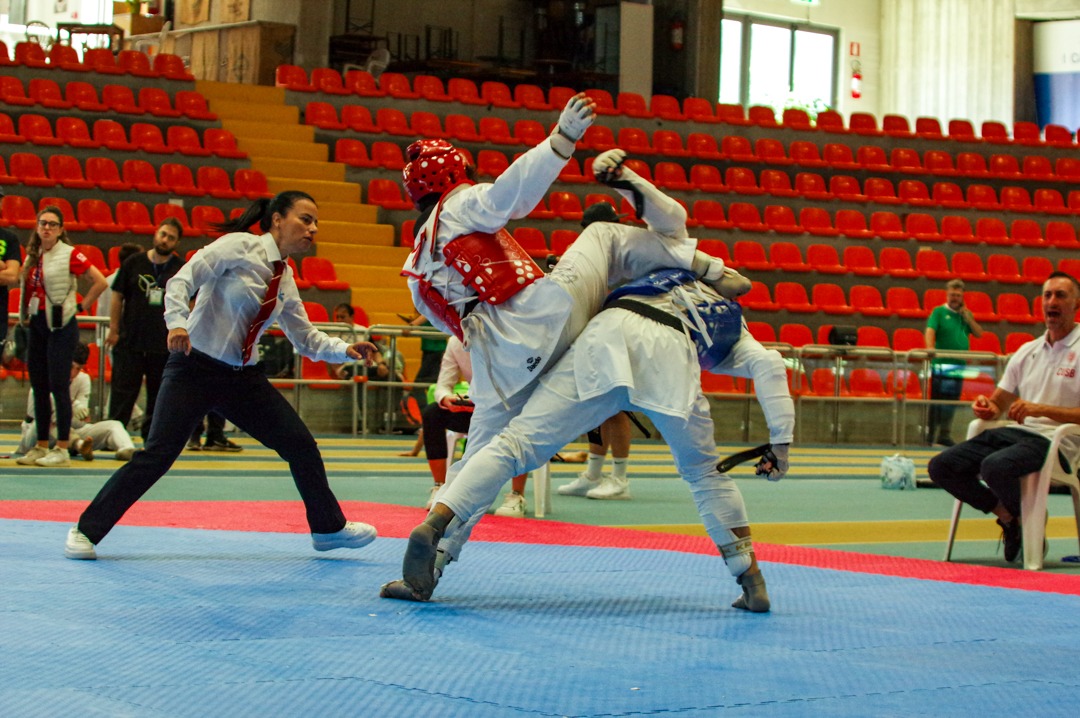 Taekwondo